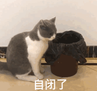 示例图片